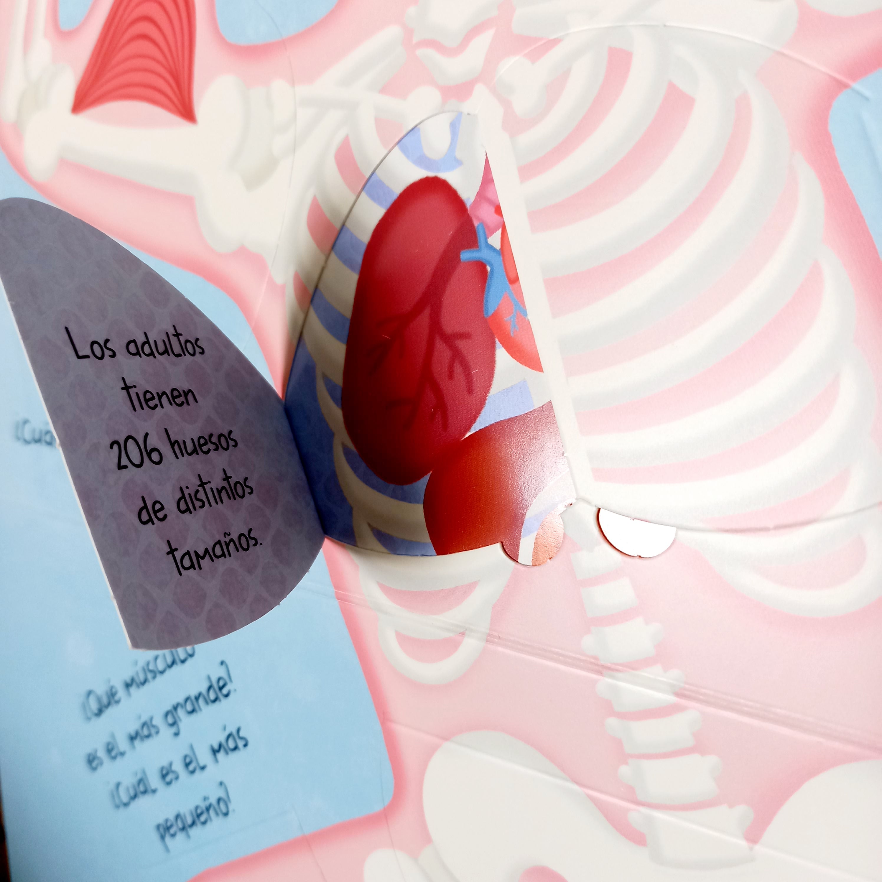Mi cuerpo. Mi gran libro de respuestas Mi cuerpo. Mi gran libro de respuestas